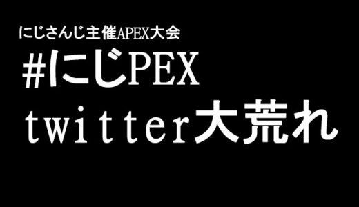 【悲報】APEX大会の #にじPEX タグ、twitterで大荒れ【Apex】